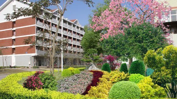 开发商|我国房子足够住,为何开发商还在大量的建房内行人说出实情