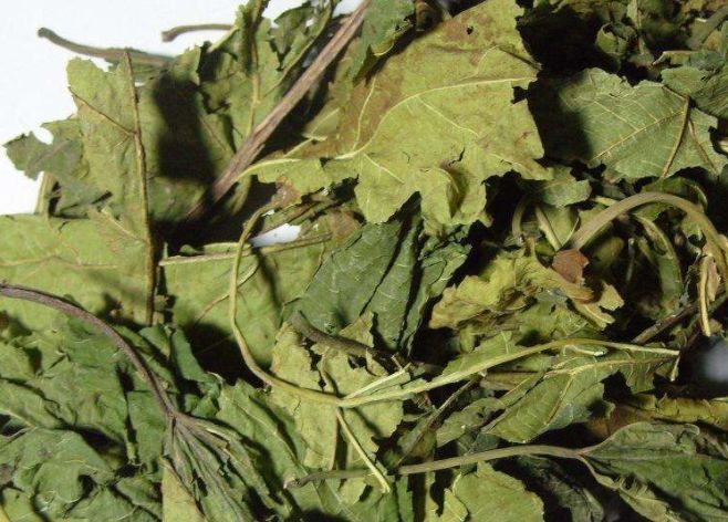 降血脂|猪身上有个好东西,降血压,降血脂,降血糖,却经常被忽视!