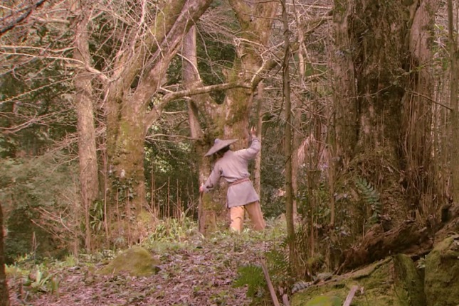 古人|古人常说“宁看拉屎的,不看劈柴的”,其背后的故事竟是血的教训