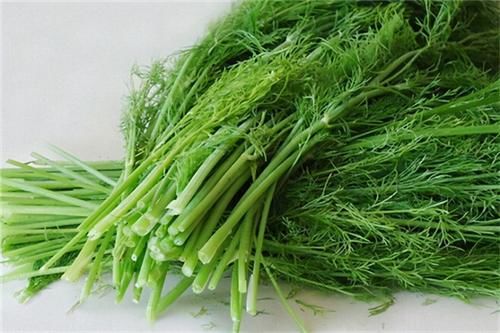 茴香油|女性到了中年，常吃三種食物，排出濕氣，清理毒素，瘦出小蠻腰