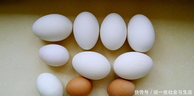 女性|女性怀孕时,这4种食物不能错过,对胎儿发育有益,还能缓解孕吐