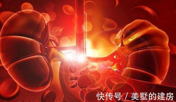肾小球滤过率|肾病没有未来,只能等尿毒症,只要坚持3小事,肾衰竭不会轻易来
