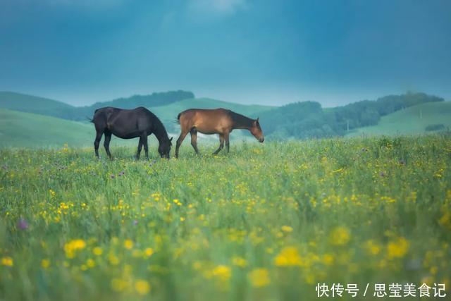 1158.03万亩天然草场，数十公里花海浩瀚盛放，这儿空气都是甜的