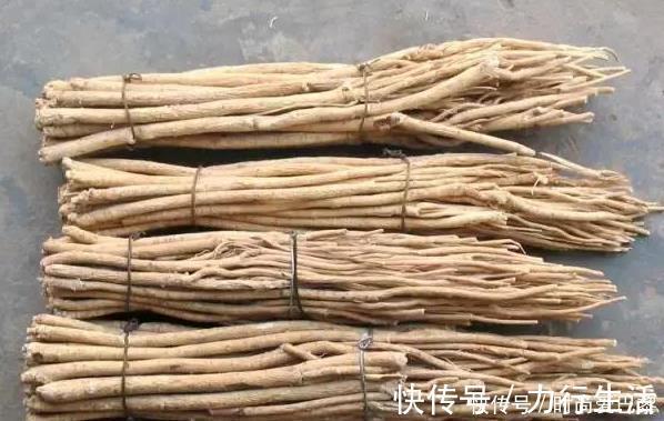 慢性鼻炎|老中医黄芪是一宝,喝黄芪水有12大好处,一起来了解下