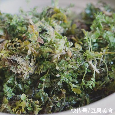  萝卜丝|萝卜丝荠菜海蛎肉饺子