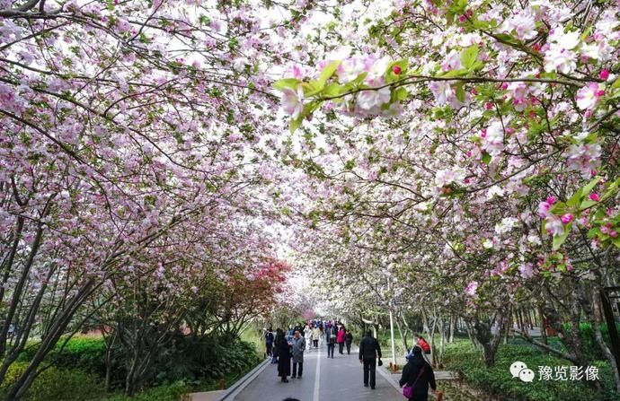 春分，赏花品香不负春