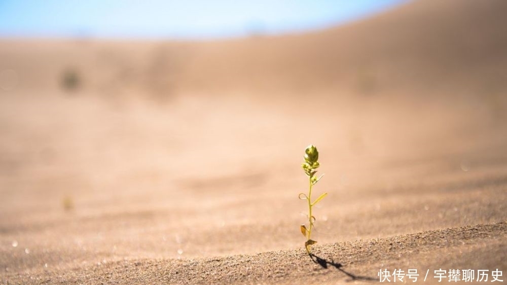 乎你学习|妈妈和孩子的幽默对话!佩服!值得存五十年!