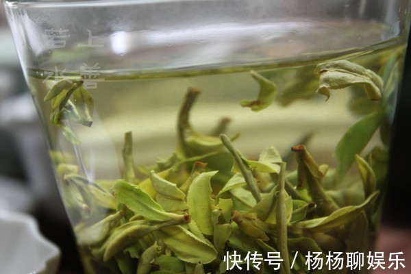 养花浇水“学问大”，老花匠教你什么水、什么时间适宜浇花！