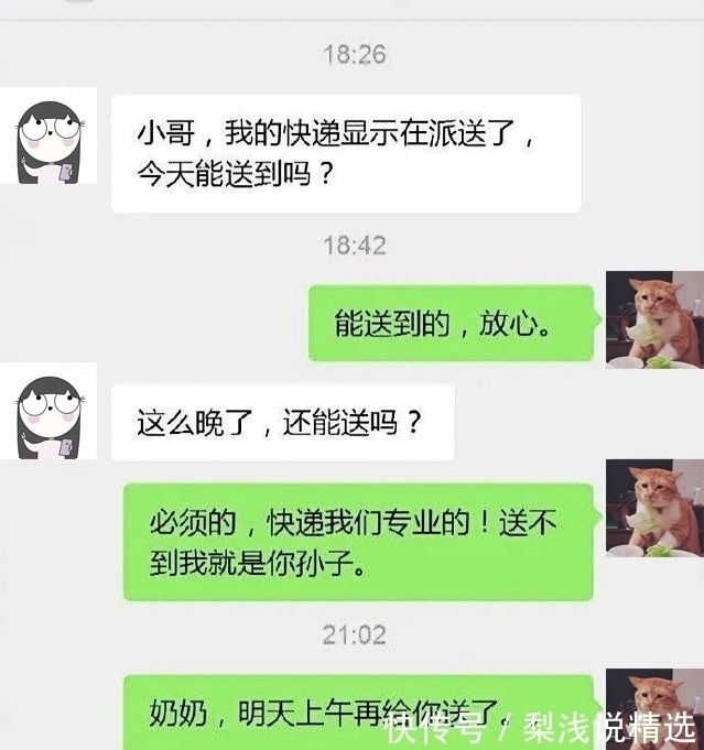 |搞笑GIF:好奇害死猫啊,而且还容易招打,哈哈哈