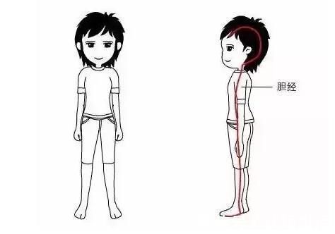 敲胆经|胆经能随便敲吗？敲错反伤身！如何敲胆经，注意事项有什么？收藏