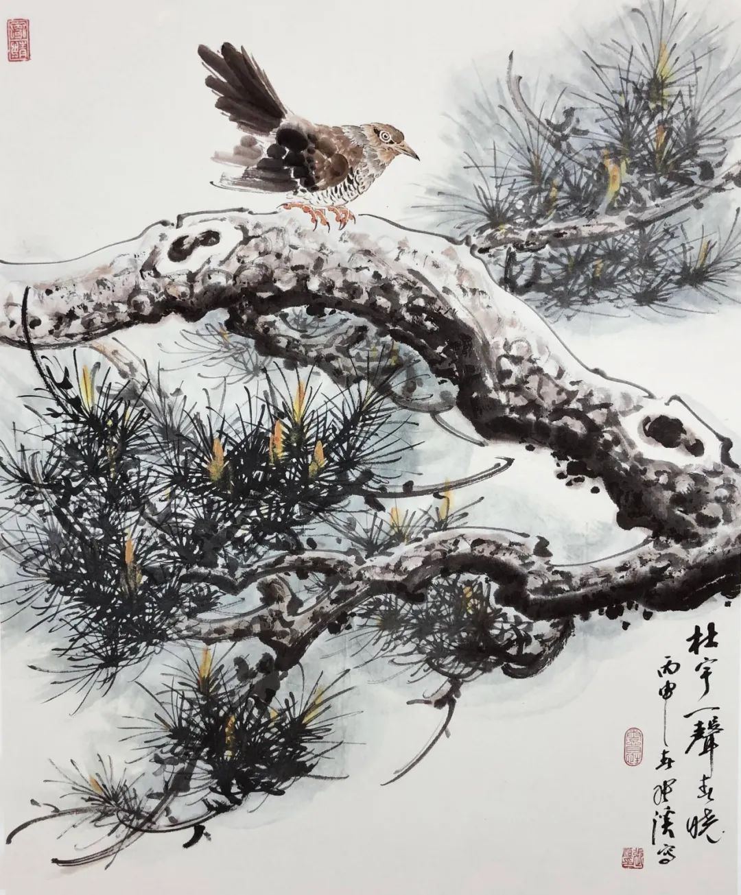 笔墨!妙造自然·巧得天趣——张秋波小写意花鸟画艺术品鉴