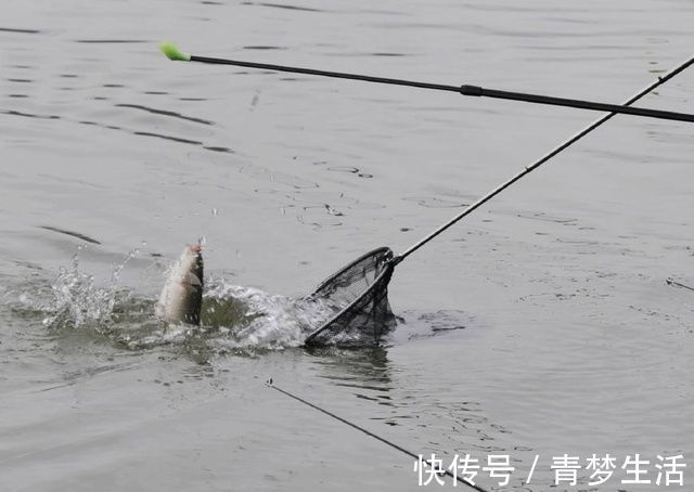 百里寻鱼“焉知非福”老钓鱼人30年经验之谈，寻鱼不再难