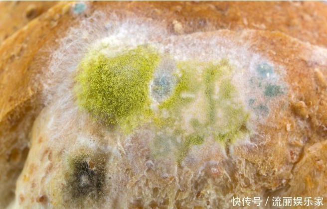食物|黄曲霉毒素很狡猾，如果你家里厨房有5种情况，抓紧收拾