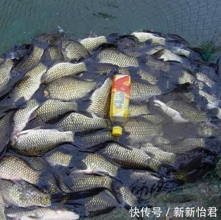 建议大家钓鱼别再用蚯蚓了，学老渔民这么捕鱼，天天吃鱼乐开花