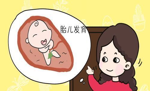 营养|这个月是胎儿的“增重期”,孕妈吃再多也很难胖,营养被吸走一半