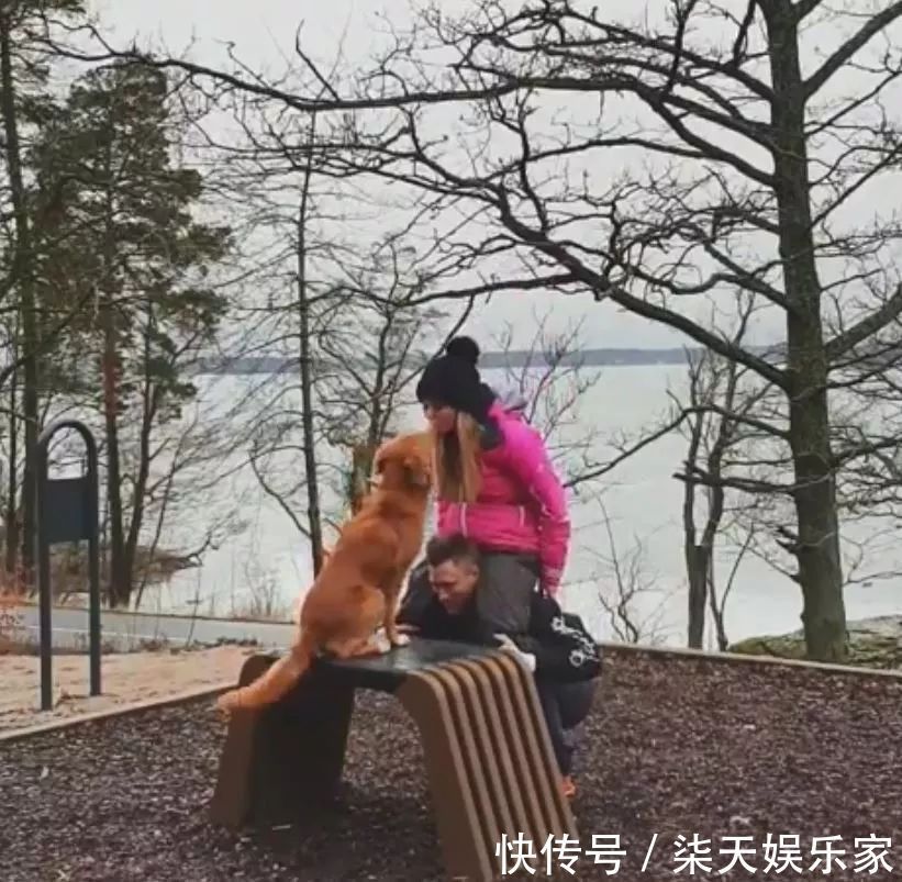 长时间|长时间健身却没效果你可能只差一条狗!