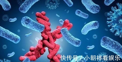 父母|泡泡男孩:生活在隔离罩中12年,临死前才第一次触碰到妈妈