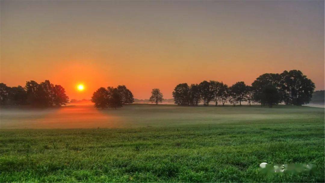 肝气|五指通全身,秘密都在这