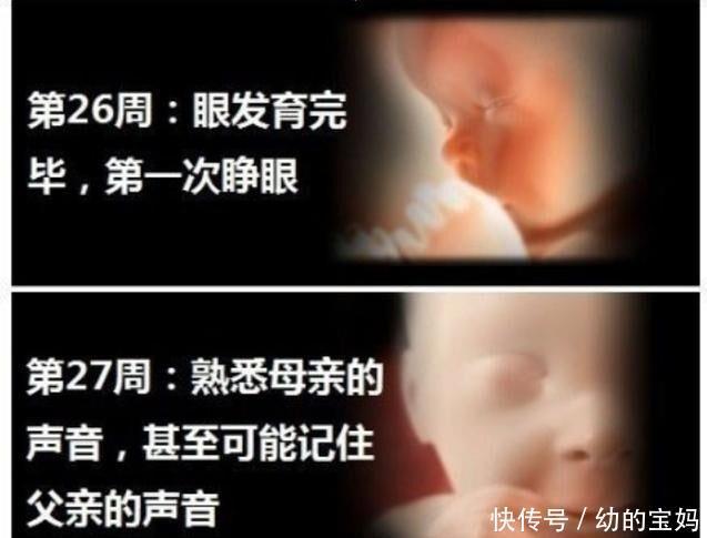 怀孕26周胎儿发育情况 怀孕26周胎儿发育情况