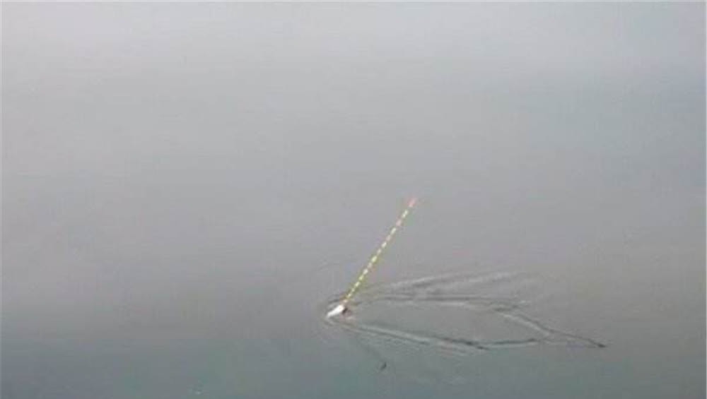 鲤鱼咬钩的经典漂相，出现这些漂相时，心跳加速，一定是大鲤鱼！