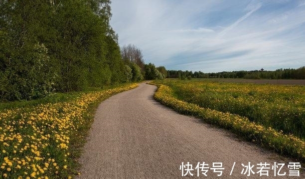 旧爱|未来1天,爱难自弃,旧爱回头,旧人回头,前途似锦