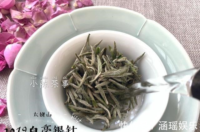 茶友&花三分钟,仔细看完这篇文章,你也是泡茶高手!