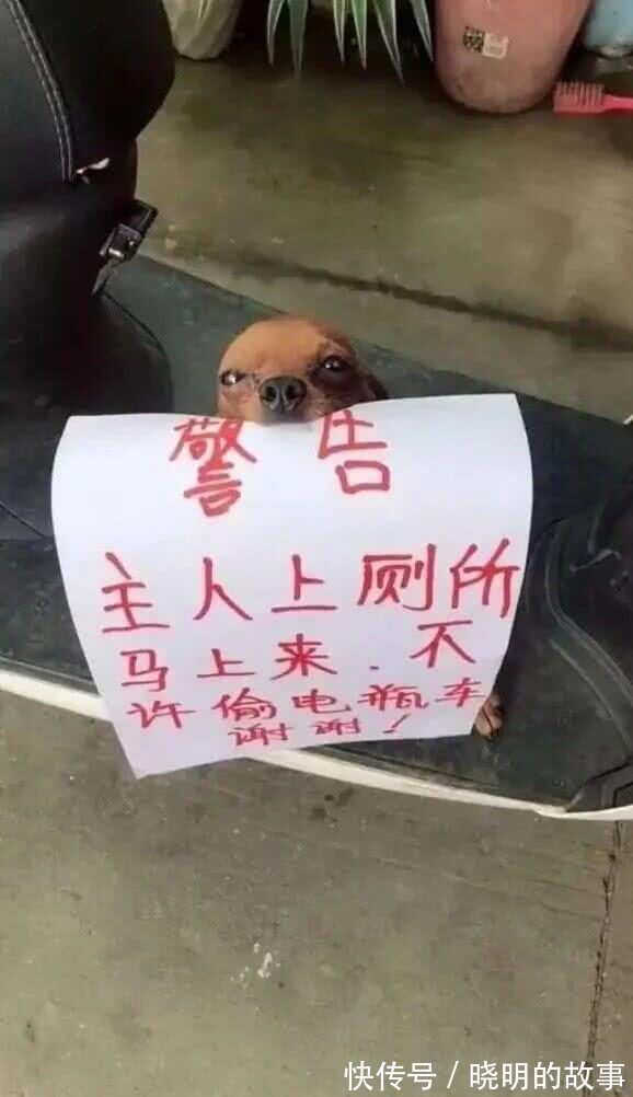 好好学习|“在拼夕夕上买了驱蚊手环,这蚊子是怎么回事?