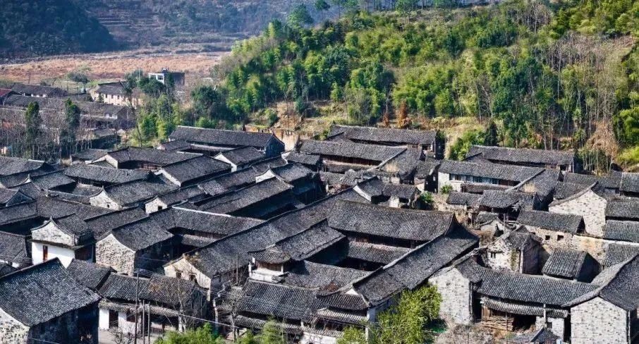 老年|怦然心动！来三门这座“中国画里的村庄”，查收春日小“梅”好！