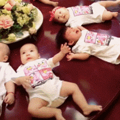 |搞笑GIF:带女朋友去动物园 我感觉好像被骗了