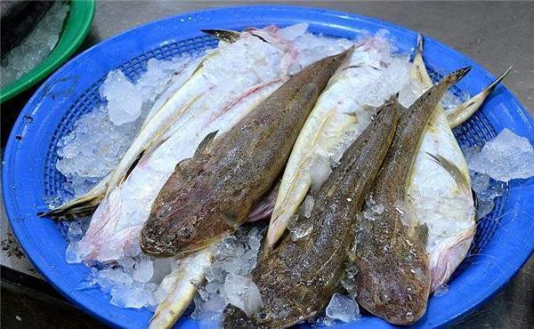 我国|这鱼在我国不值钱,潮汕人懂它的价值,到了日本摇身一变成高档货