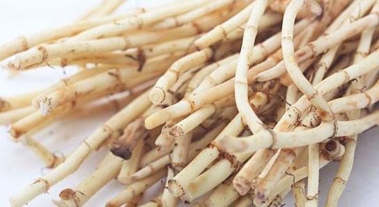 谷谷丁|7种农村常见的野菜,个个都是治病的“良药”,你吃过几个