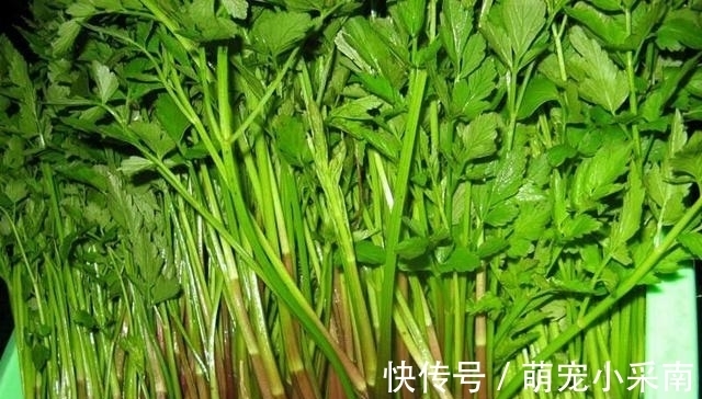 食用期长达5个月，却少有人去摘，如今正当季，炒腊肉是一绝！