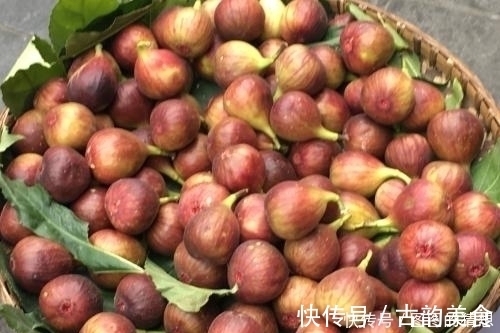 海带|这些天然黄体酮,女生常吃更年轻,更有女人味!