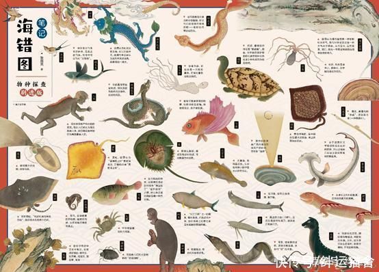 博物君|无穷小亮藏狐推荐儿童书籍《海错图笔记(青少版)》儿童读物推荐