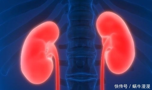 会养|男人会养肾岁,睡前不做4事