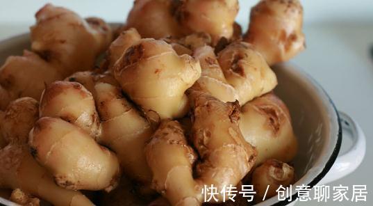 生姜|生姜不用买,阴面阳台种一排,多到吃不清