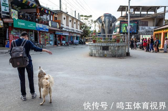 奇特旺|藏在奇特旺森林的小镇，商业化已十分厚重，交通工具却还十分原始