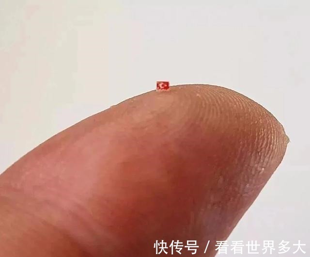 瓜子#惊爆眼球!60岁帅大爷在头发丝上画画,米粒、瓜子都给他当画布!