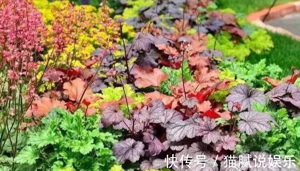 这9种花园,随便1个都美上天了,有一种这辈子就满足了!