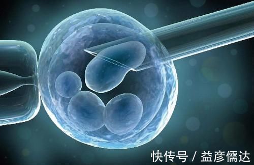 试管婴儿|6年试管经历告诫女性:别轻易做试管婴儿,三个代价一般人难承受