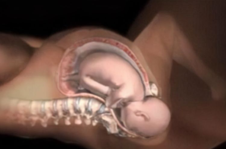 宝妈|为什么顺产那么疼？3张图带你了解分娩全过程，网友：为母不易