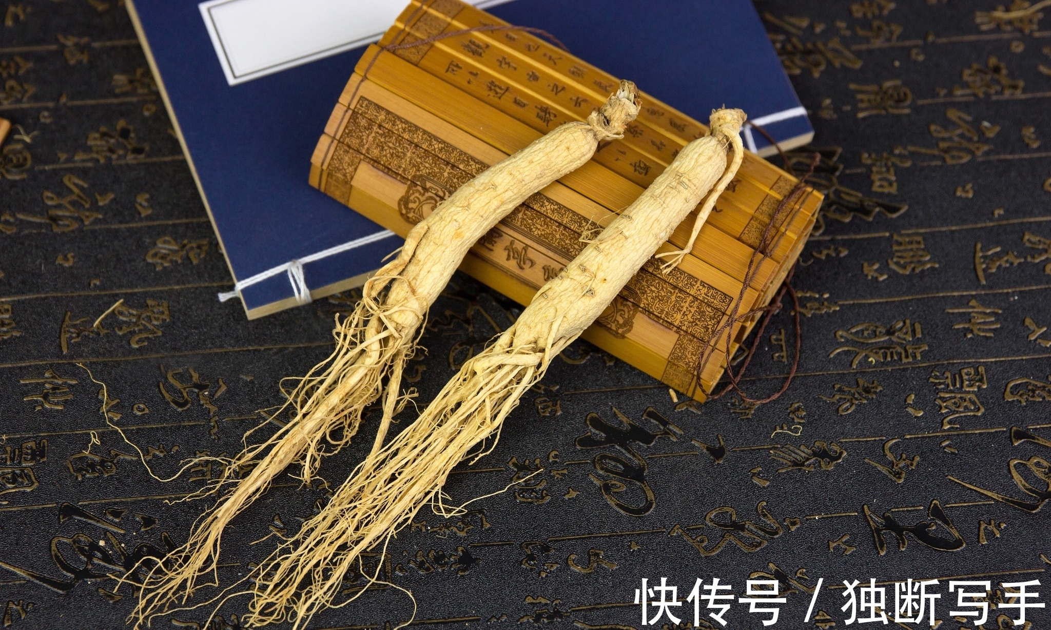 神农本草经|读本草经典,温故知新,中医不是太落后,而是太先进了!