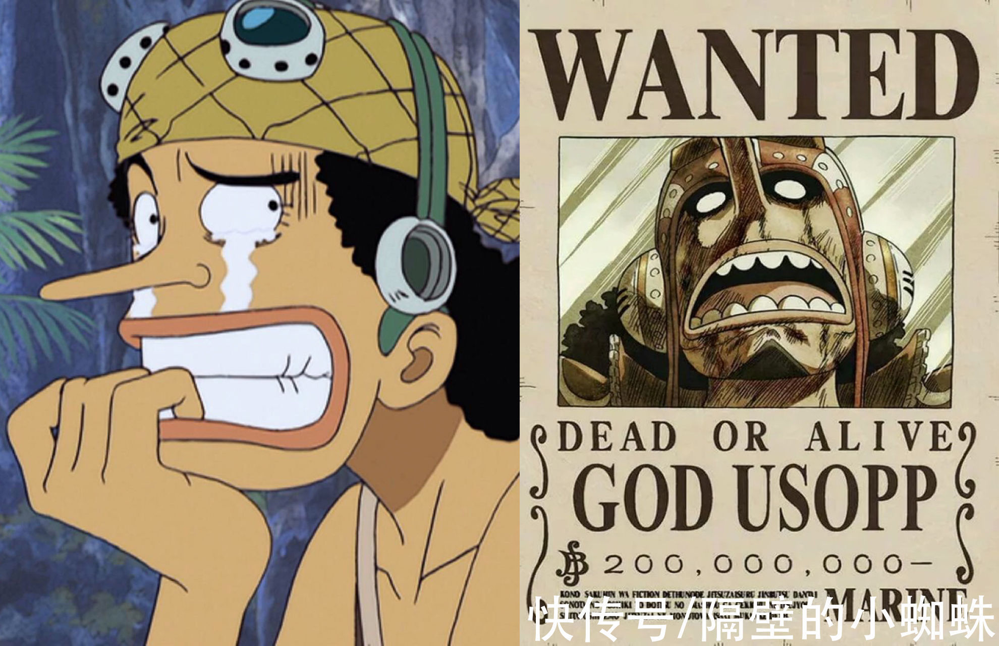 草帽五人团|海贼王:盘点草帽五人团的恐怖成长,连“四皇”都必须认真对待