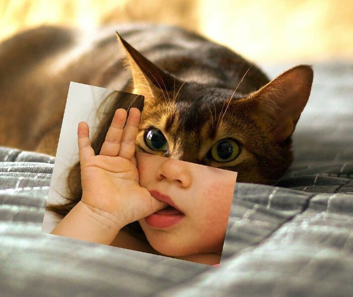 白雪公主!一组艺术家的疯狂照片拼贴画,白雪公主喝多也吐,建国的发现