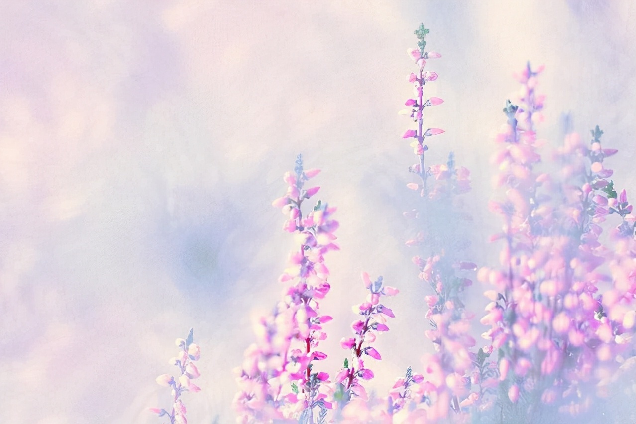 闭口禅!能在这几种特殊情况下保持沉默的人,往往层次很高,很不简单