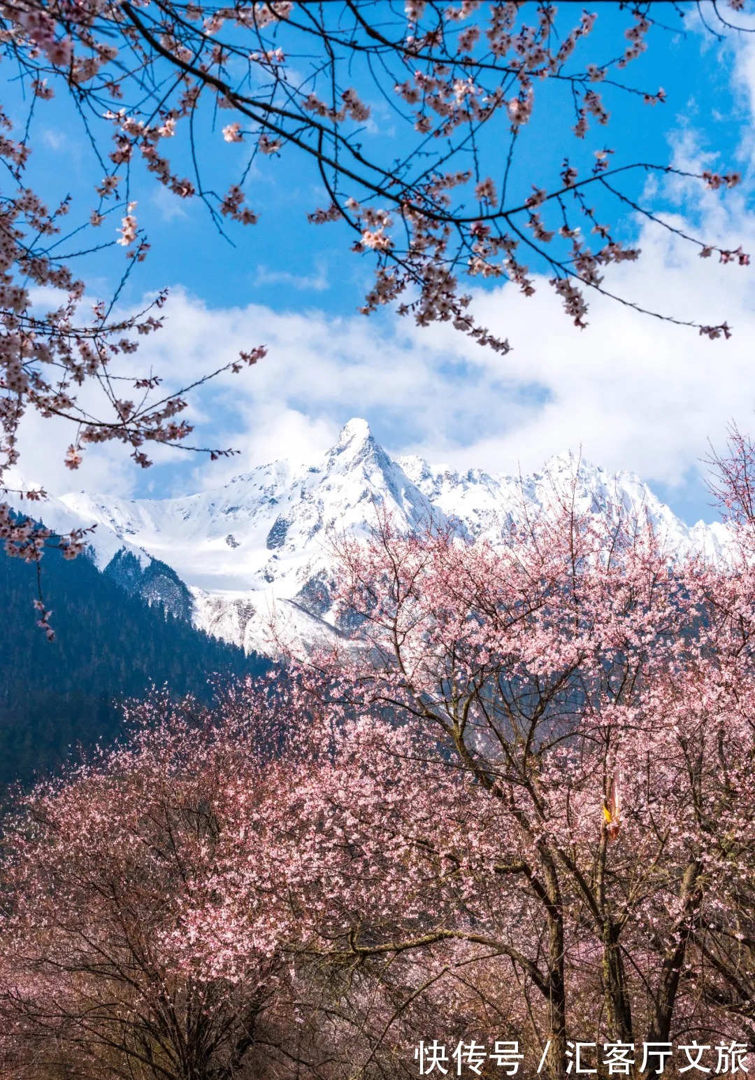 雪山|春天,让人憧憬的旅行目的地,莫过于去林芝看桃花!