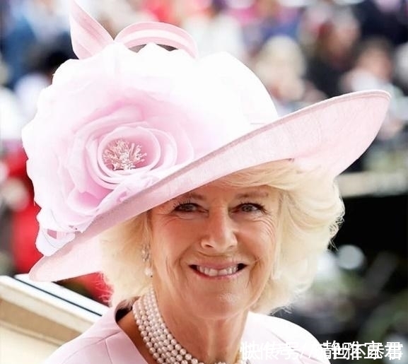 婚戒 戴安娜婚戒平淡无奇，卡米拉婚戒是无价之宝，查尔斯送礼太偏心了