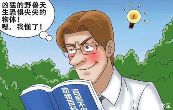 霍顿|搞笑漫画霍顿连大狗熊都敢欺负