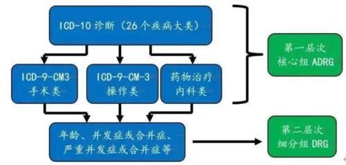 切除|DRG/DIP运行中，手术操作编码常规问题全方位解析