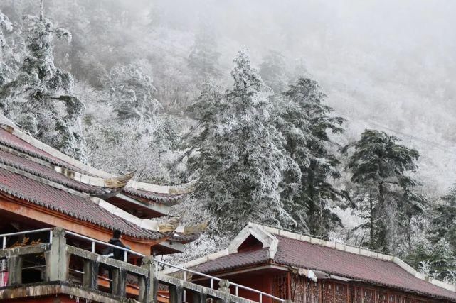 情怀|只下了一场雪，峨眉山又多了这些名场面